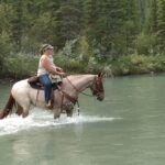 a woman on a horse walking through a river
