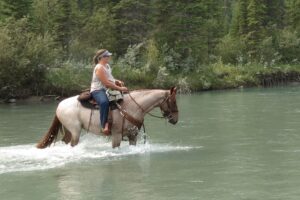 a woman on a horse walking through a river