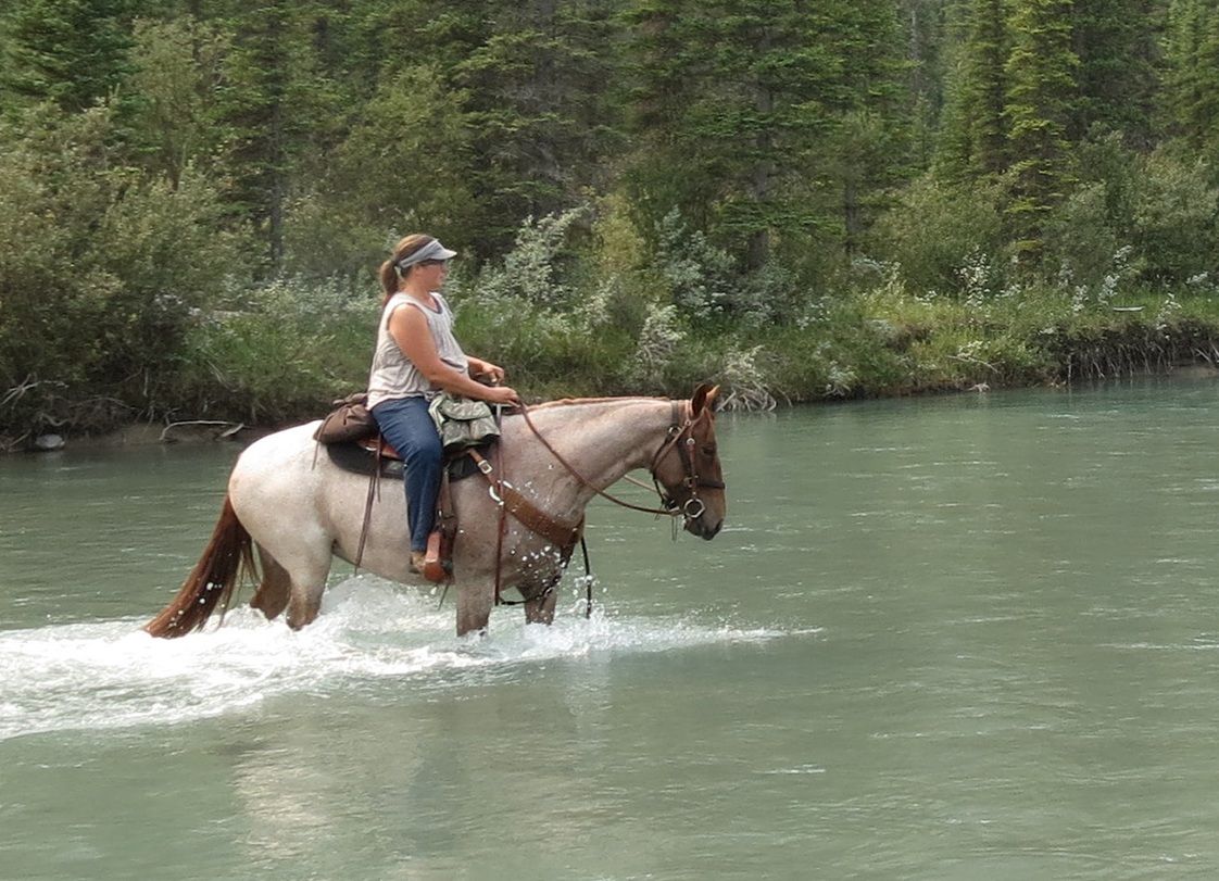 a woman on a horse walking through a river
