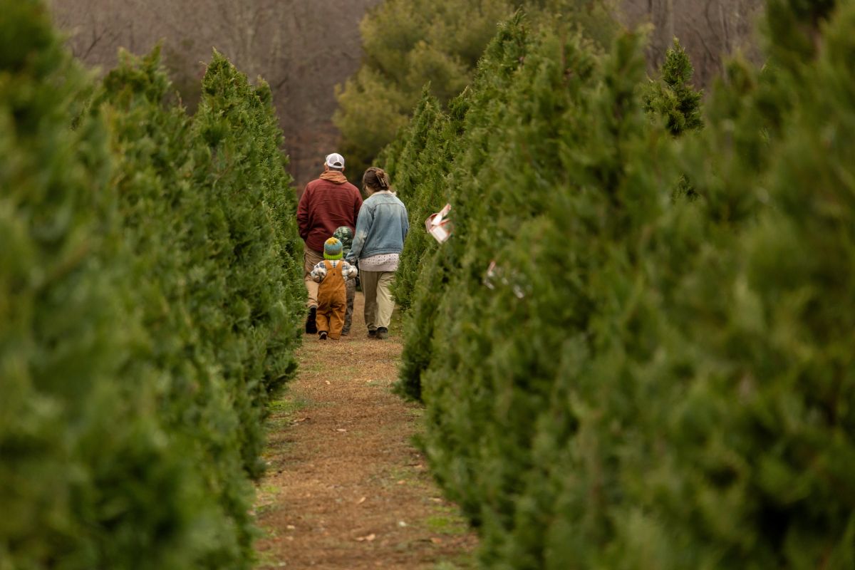 a family walking through a Christmas tree farm