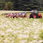 a field of flowers with a group of people on a trailer pulled by a tractor in the background
