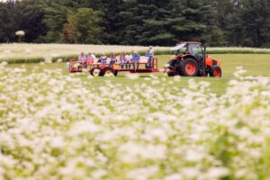 a field of flowers with a group of people on a trailer pulled by a tractor in the background