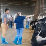 Liz Eckelkamp with a program participant pointing over dairy cows