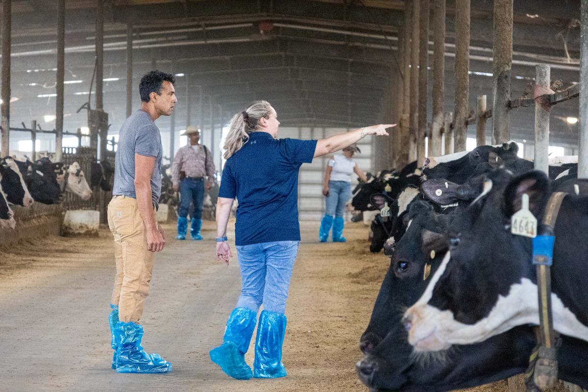 Liz Eckelkamp with a program participant pointing over dairy cows