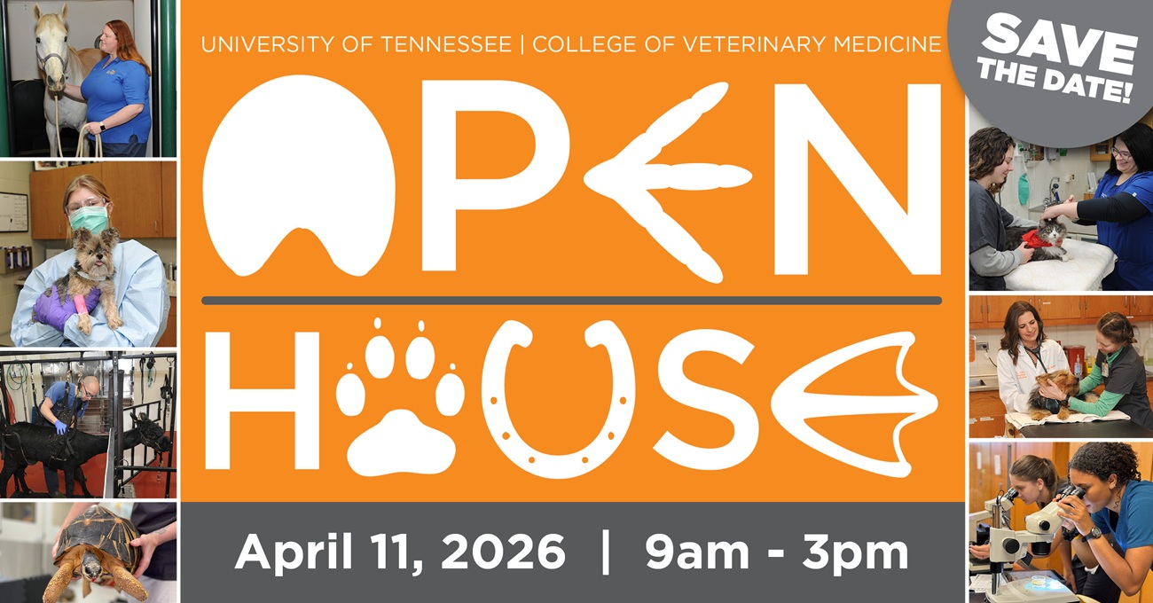 UT CVM Open House logo and date 2026