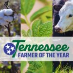 Tennessee Farmer of the Year logo with images of cotton, soybeans and cattle
