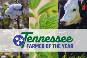 Tennessee Farmer of the Year logo with images of cotton, soybeans and cattle