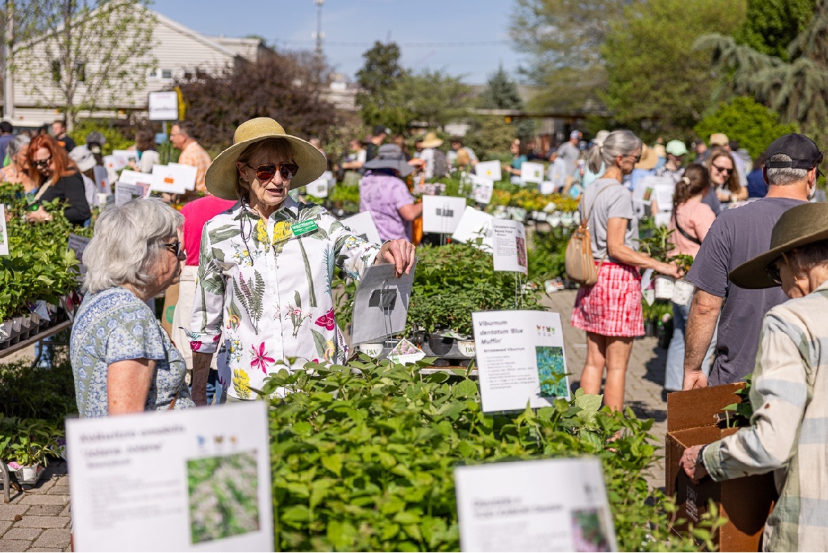 Visitors to the 2025 UT Gardens, Knoxville, Spring Plant Sale