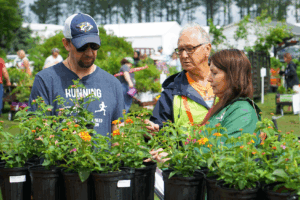 Three shoppers browse plants on a table during a plant sale