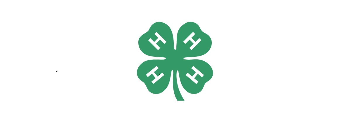 4-H embem