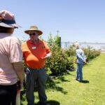Dr. David Lockwood discusses blackberries with a visitor to the Fruits of the Backyard Field Day