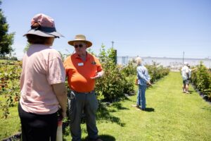 Dr. David Lockwood discusses blackberries with a visitor to the Fruits of the Backyard Field Day