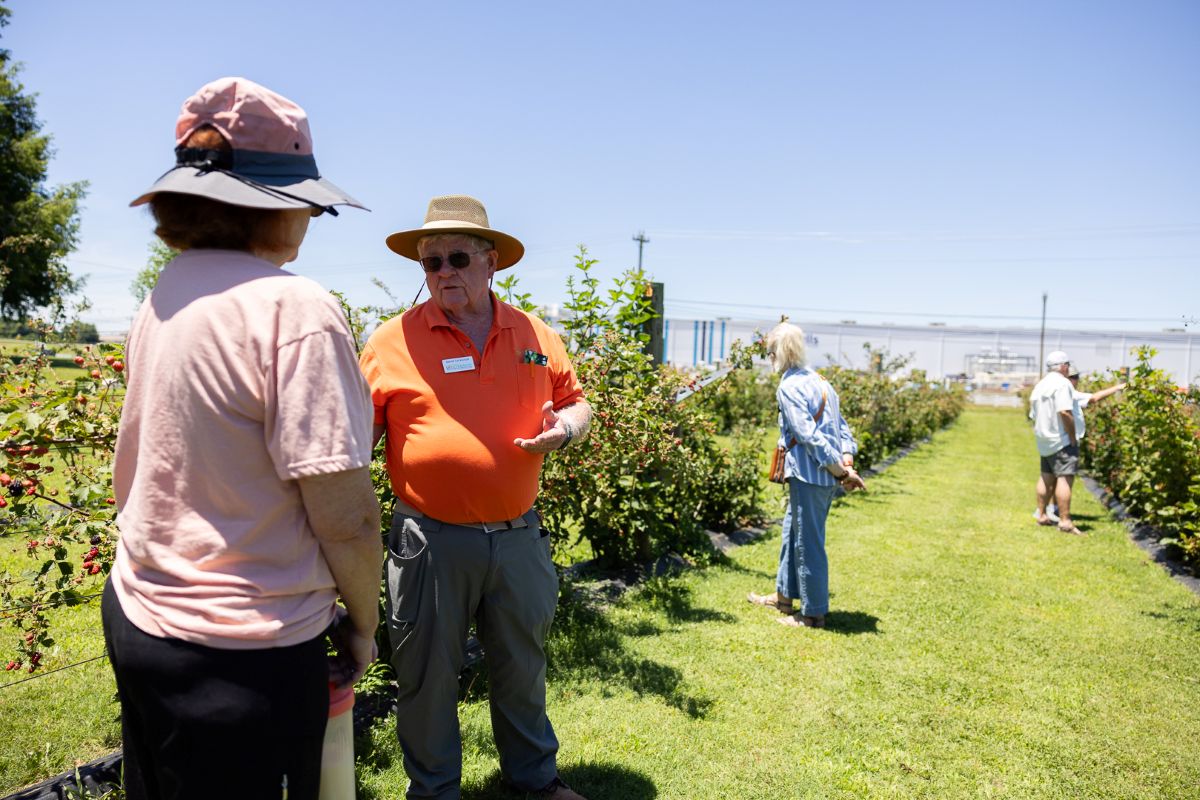 Dr. David Lockwood discusses blackberries with a visitor to the Fruits of the Backyard Field Day