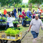 Shoppers pull wagons of plants at an outdoor plant sale