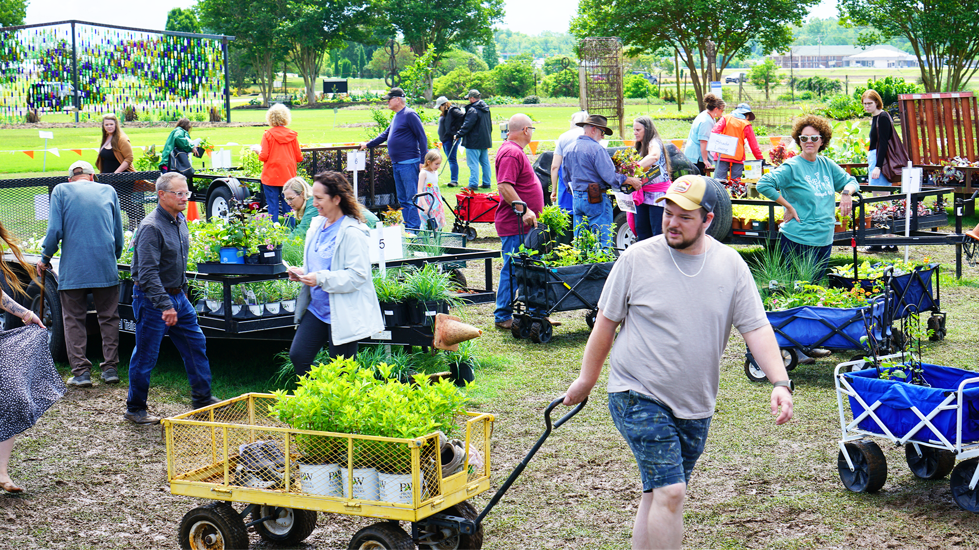 Shoppers pull wagons of plants at an outdoor plant sale