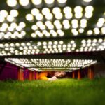 researcher examines turfgrass grown under LED lights