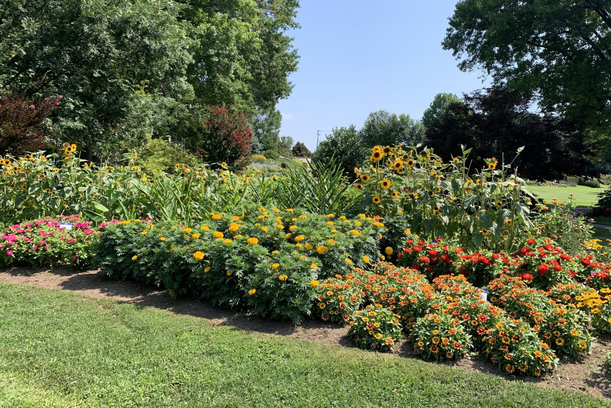 Flora at the UT Gardens.