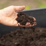 A hand scooping up soil.