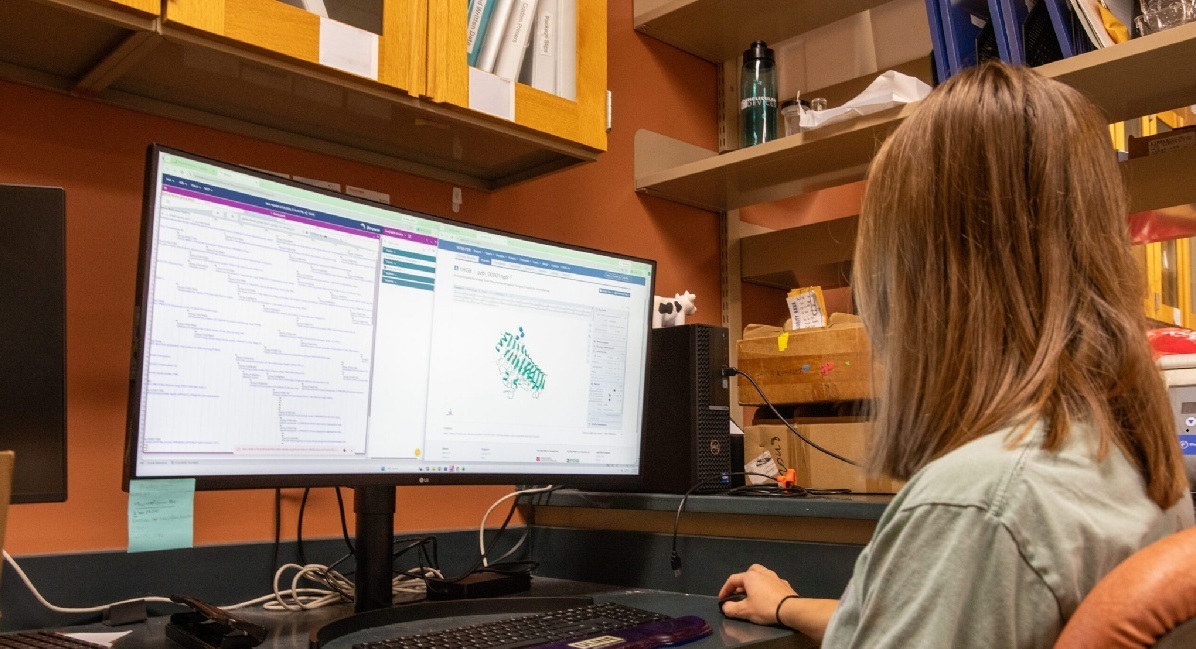 A college student looking at a computer screen.