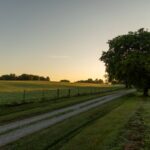 A gravel road cutting through a field at sunrise.
