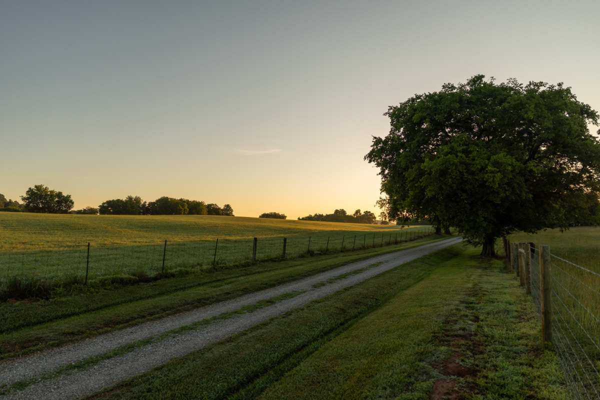 A gravel road cutting through a field at sunrise.