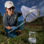 Charity Owings holding a net over a jar of blowflies.