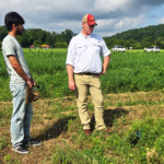 A student holding a clipboard stands next to an instructor in a hat and white shirt while observing a weed research plot.
