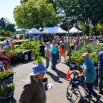 A crowd of shoppers browse trailers of plants at a plant sale