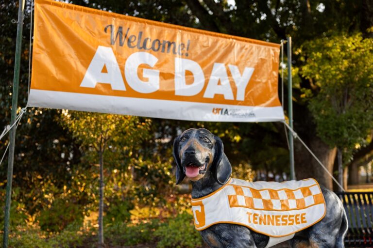 A Smokey statue in front of an orange Ag Day banner.