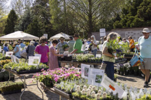 People shopping at a plant market.