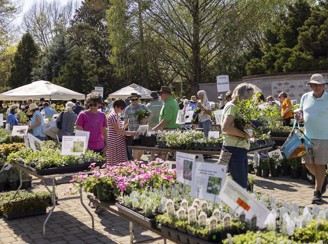 People shopping at a plant market.