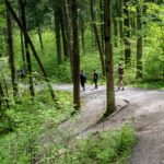 People hiking in the forest.