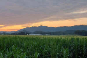 Sunset over the mountains.